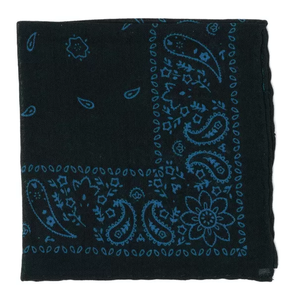 Cesare Attolini Pure Wool Pocket Square "Reni E Paisley